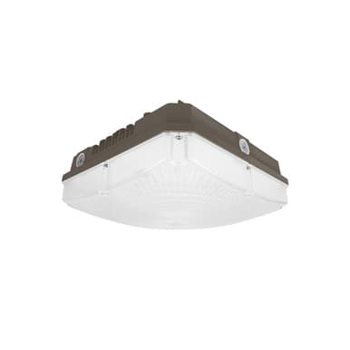 Garage Canopy Light